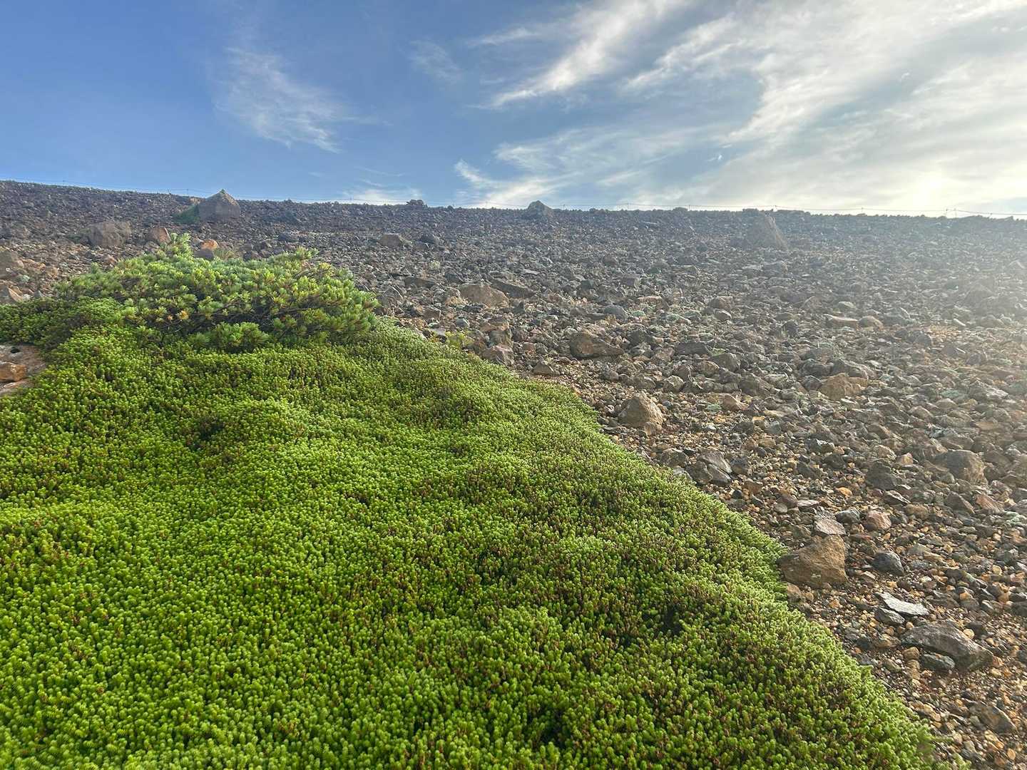 【フラット登山】蔵王の盟主・熊野岳で荒涼の風景と美しい火口湖を堪能の写真