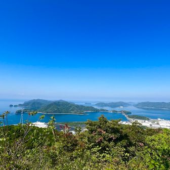 良いね〜　人気のお山