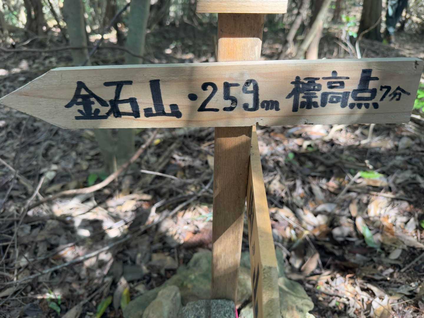 金石山⛰️行ってみたけど何もなかった💦