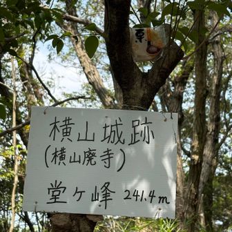 最後の4座目堂ヶ峰241m山頂
栗最中とともに
