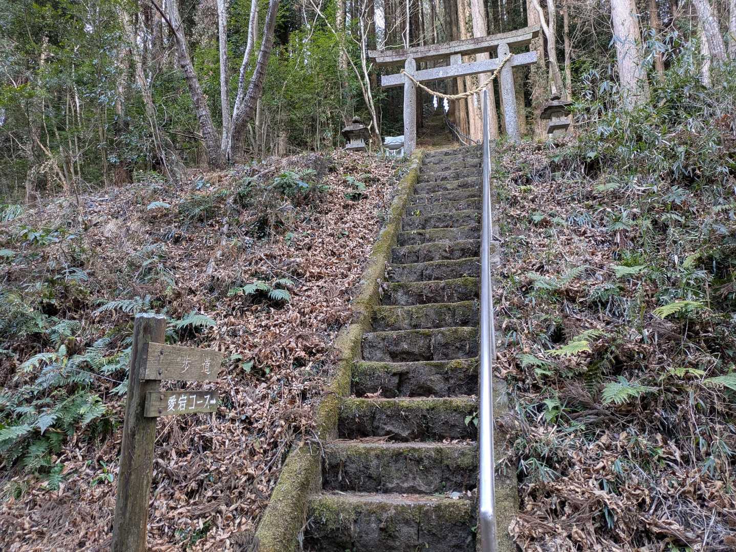 朝からこの階段はきつい