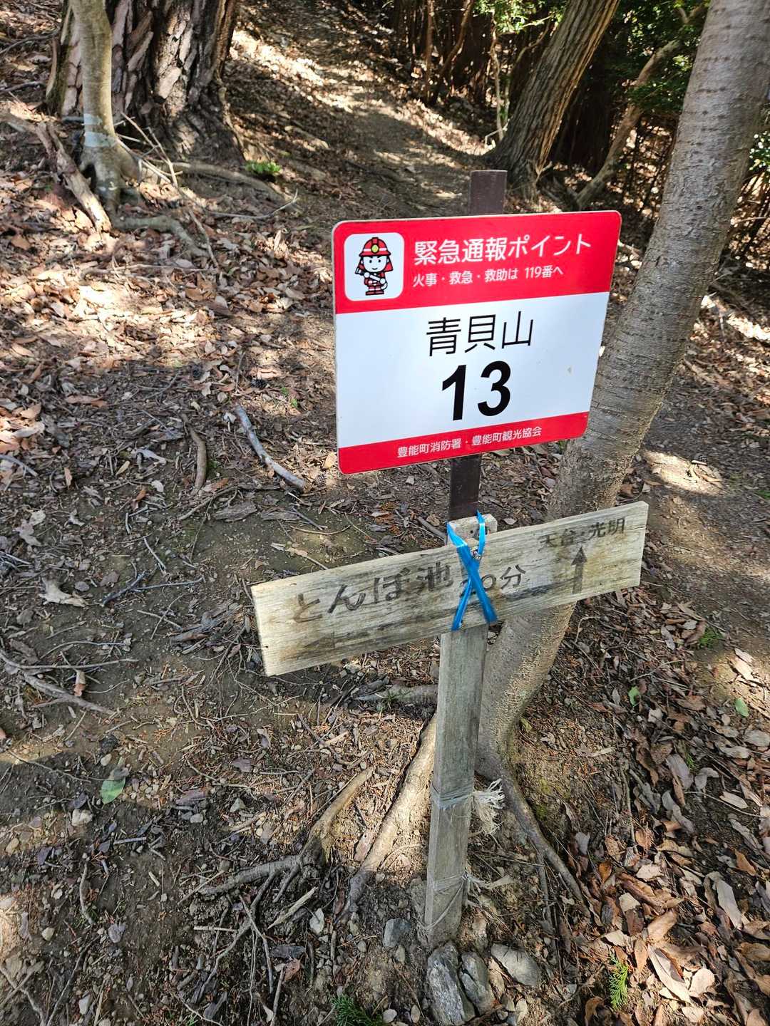 ミツマタ見にとんぼ池方面へ