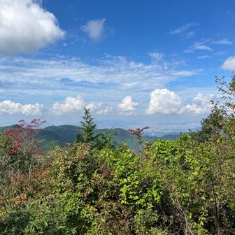 展望台からの景色は微妙