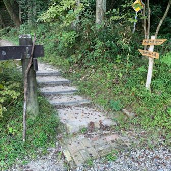 2ヶ月半ぶりの猿投山、よろしくお願いしま〜す