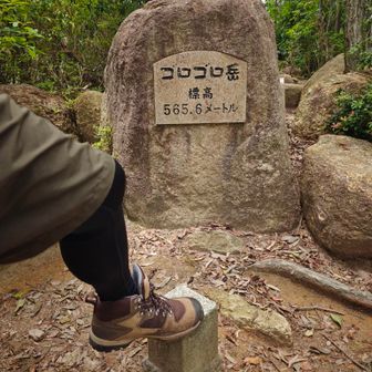 ゴロゴロ岳△🥾確かに登山道にも岩がゴロゴロあったよね🪨
ちなみに六甲山系で唯一「岳」の字がついてる山です