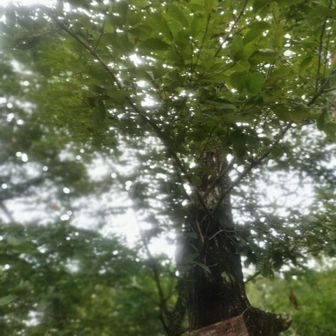 低山やけどね、中身は濃い