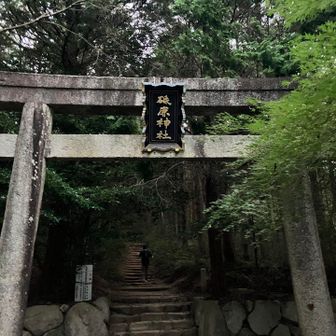 今週は仕事が手詰まりになったので休日出勤やめて休んでやったぜ