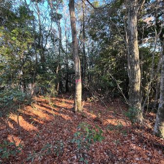 白須へはまた今度