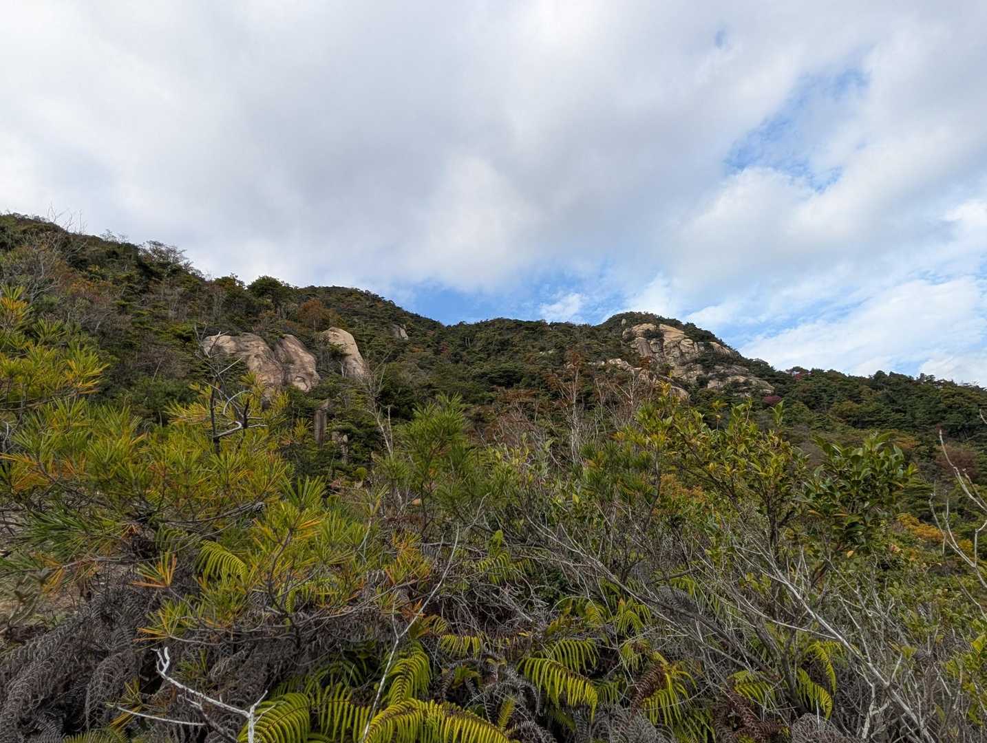 米小屋山-笛吹山-大鉢山-忠四郎山 周回コースの写真