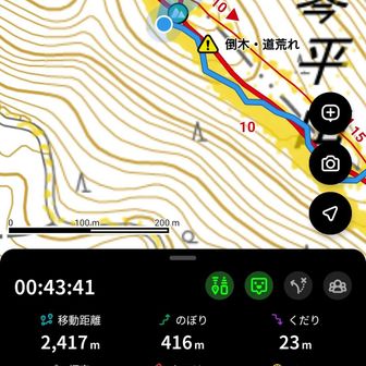 山頂手前でヤブに突っ込んで激遅