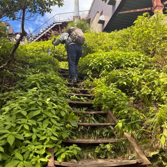 危険⚠️劣化した鉄板の階段
