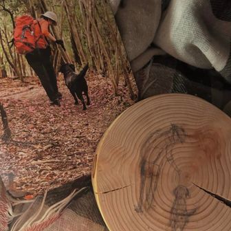 みかん🐕‍🦺🍊