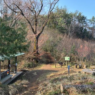 桜峠を直進↑
馬不入山へ🐴