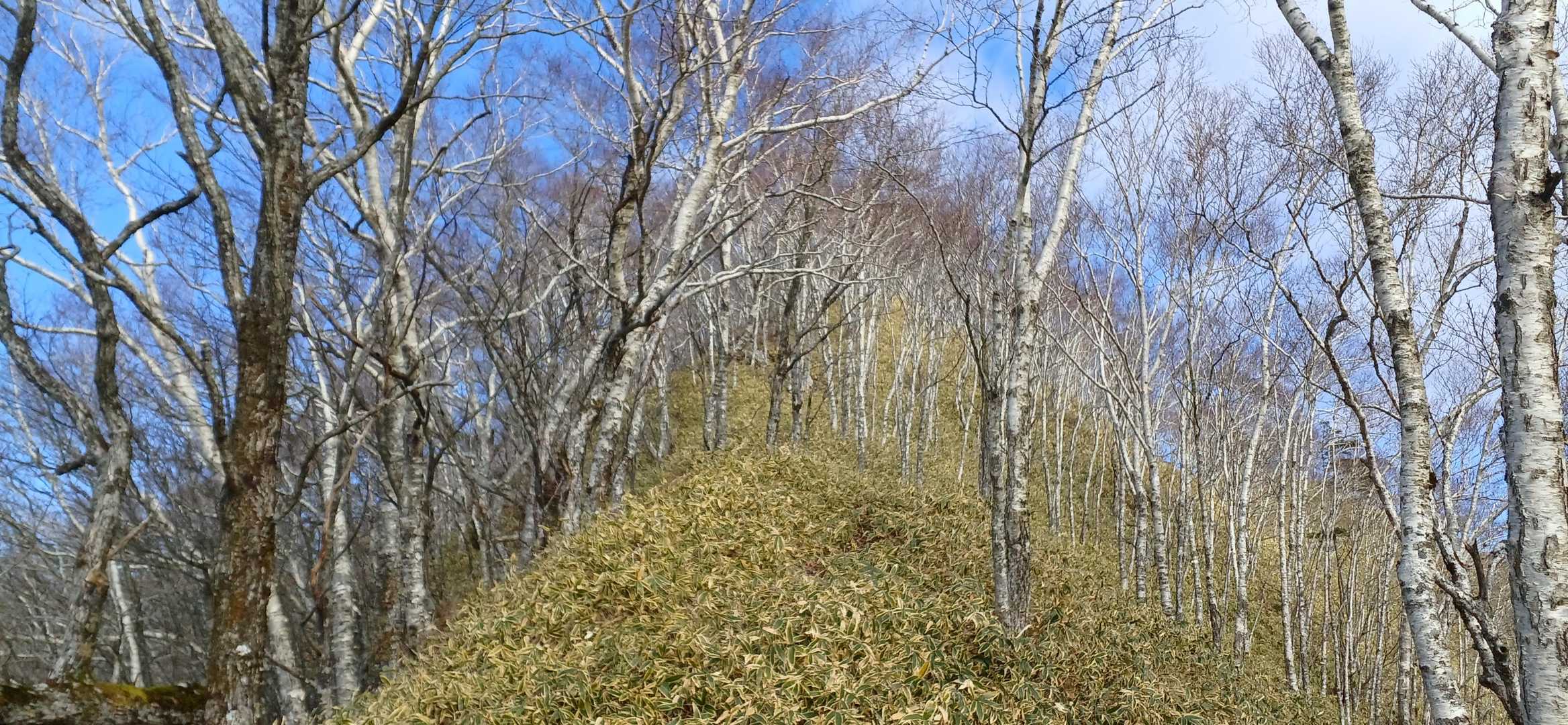 えっほえっほ
伝わらないけど急登