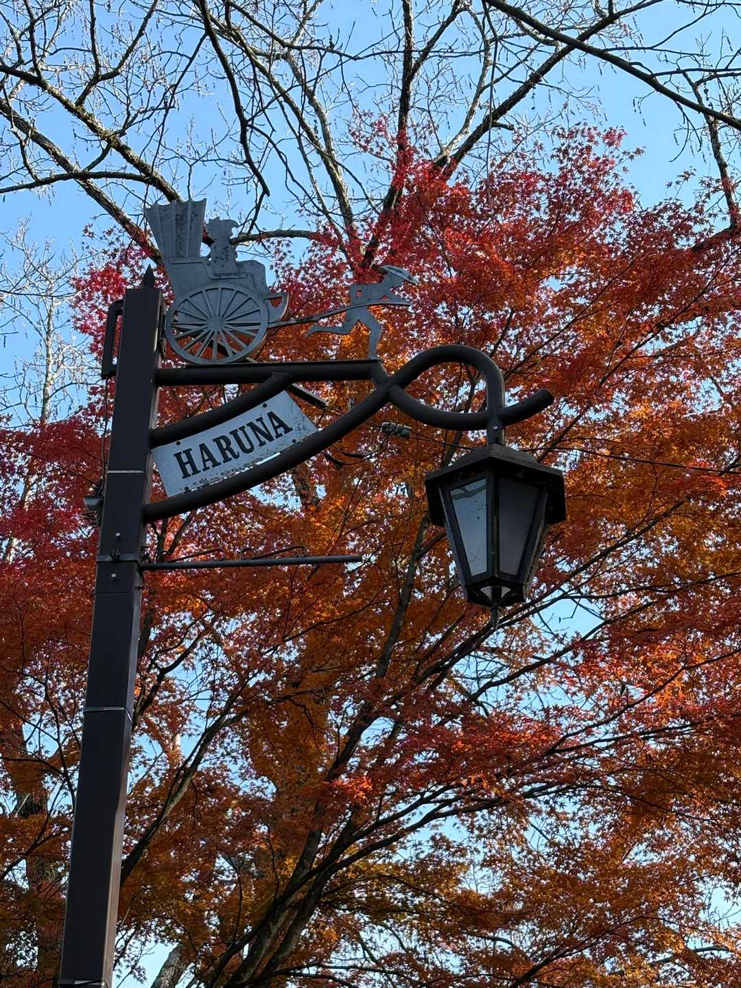 街灯と紅葉💡🍁