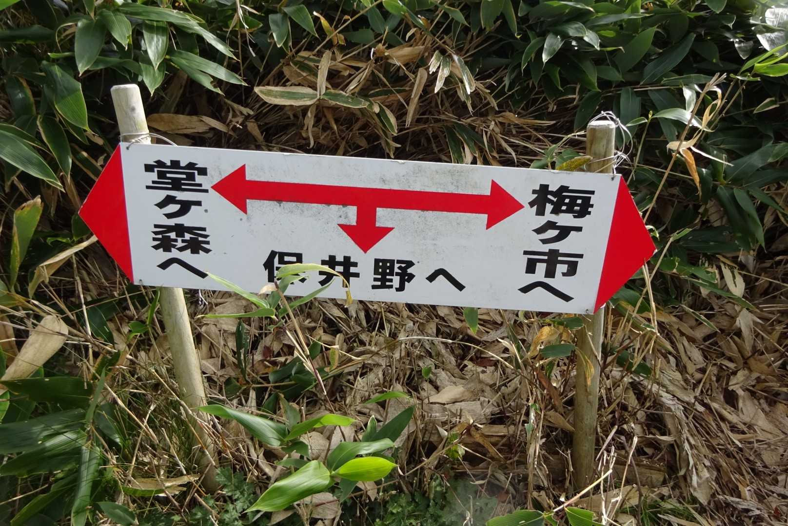 分岐…ここから少し下ると樹林帯。ひたすら降りるのみ。かなり急な坂道でひざがいたくなりました😅