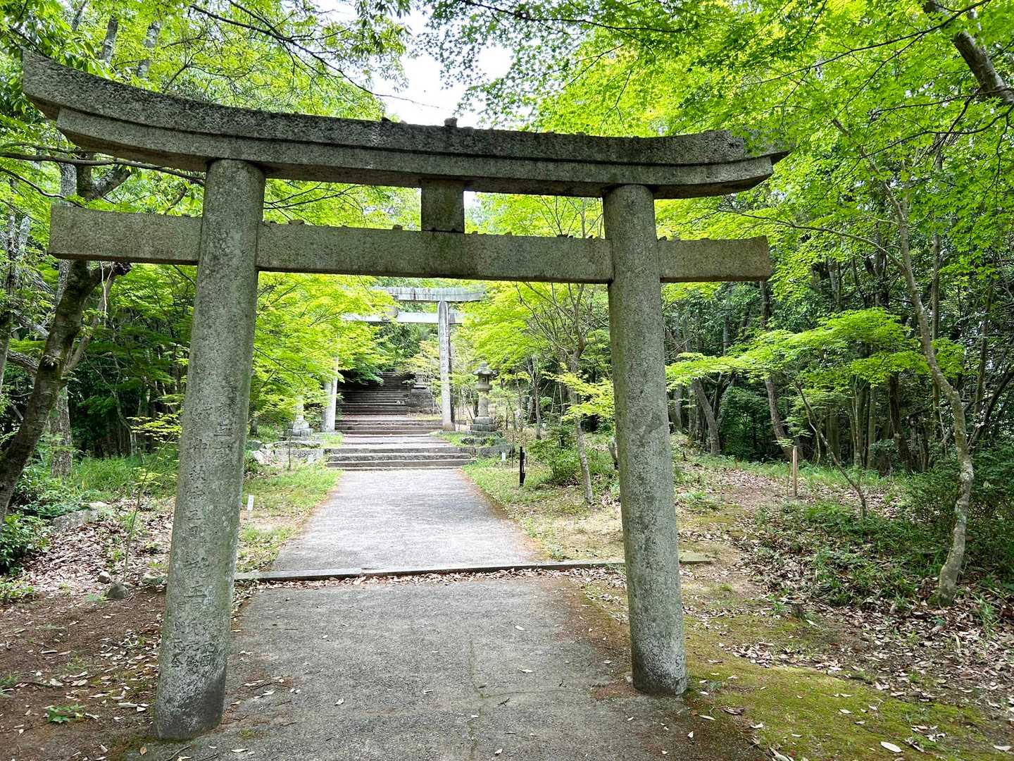 スタートは府中八幡神社。
新緑が美しい。
秋は相当キレイでしょうね。