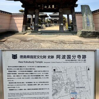 第十五番札所国分寺/古代の阿波国分寺跡と重なる(天正の兵火⚔️で焼滅🔥)
https://jlogos.com/ausp/word.html?id=7195092