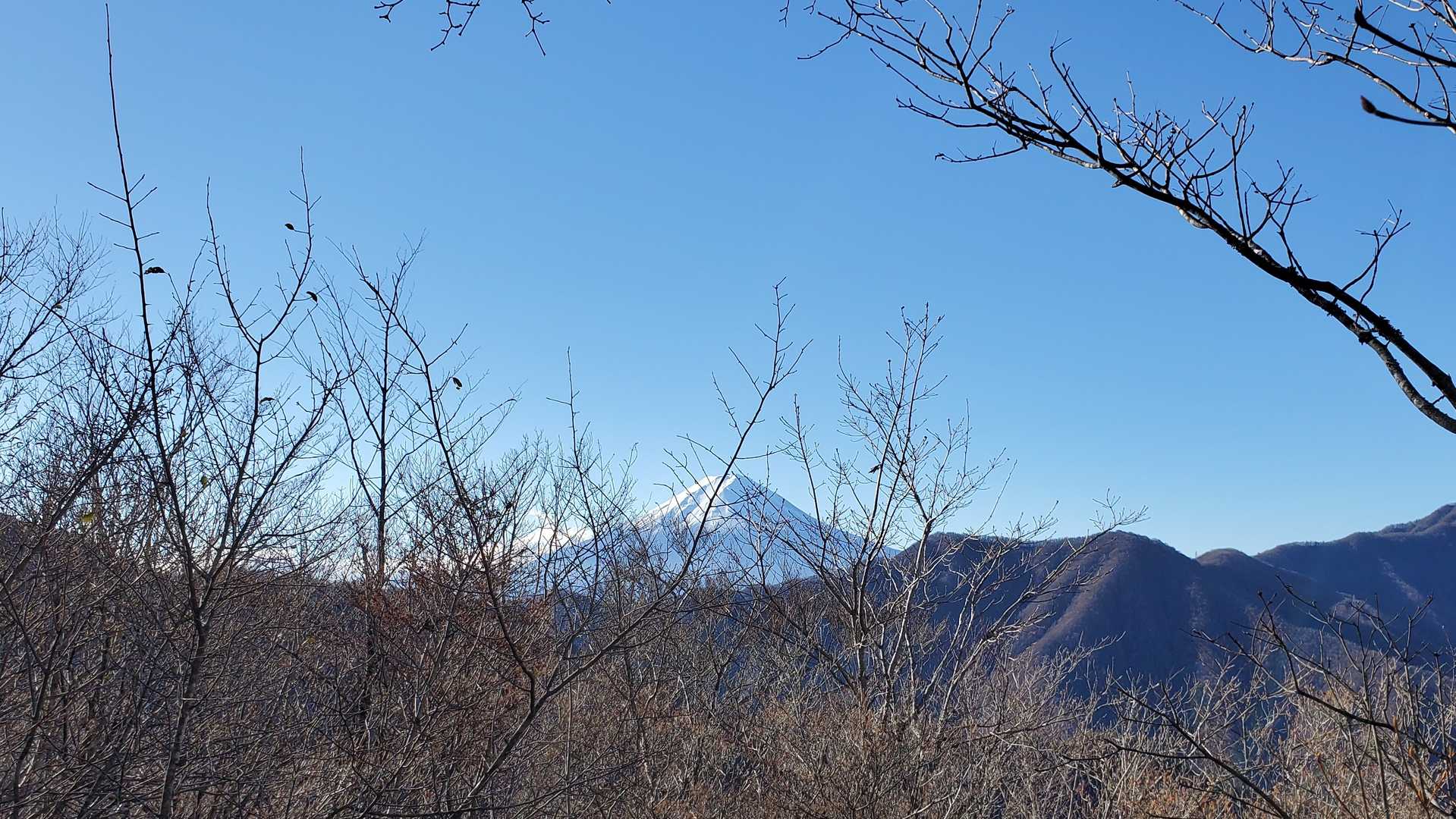 大沢山からの富士山。
撮れるうちに撮っておく。