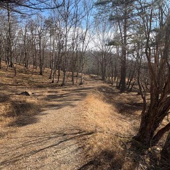 登りの道と合流。