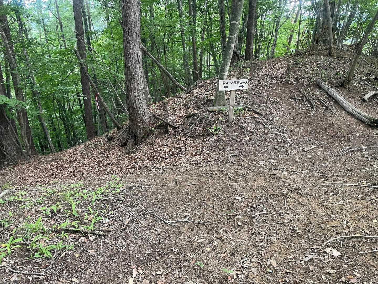ここからは一般コースで安全に
とても良いお山でした！楽しかった✨✨✨
次は晴れた日に！