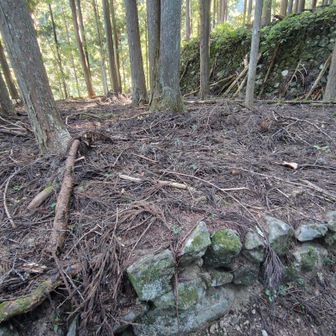 ちなみに先の分岐の手前にはこのように建物でもあったかのようなスペースがある。石垣積んでるし。