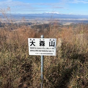 影倉山到着
角田では大森山と呼ぶらしい