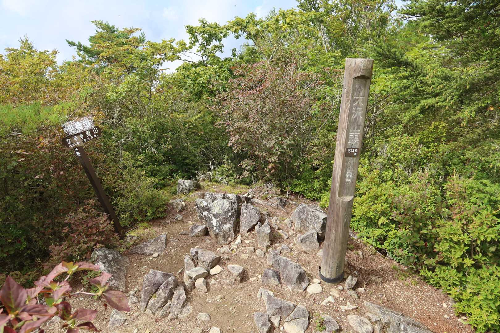 大沢ノ頭
狭くて石ゴツゴツ
樹木越しに山並みが少し見える程度
ハエも多いので直ぐUターン