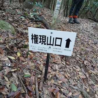かなりのアップダウンで足も疲れてきたけど、
行くよー
ここからピストンで長府権現山、石山へ
往復2時間やって😂