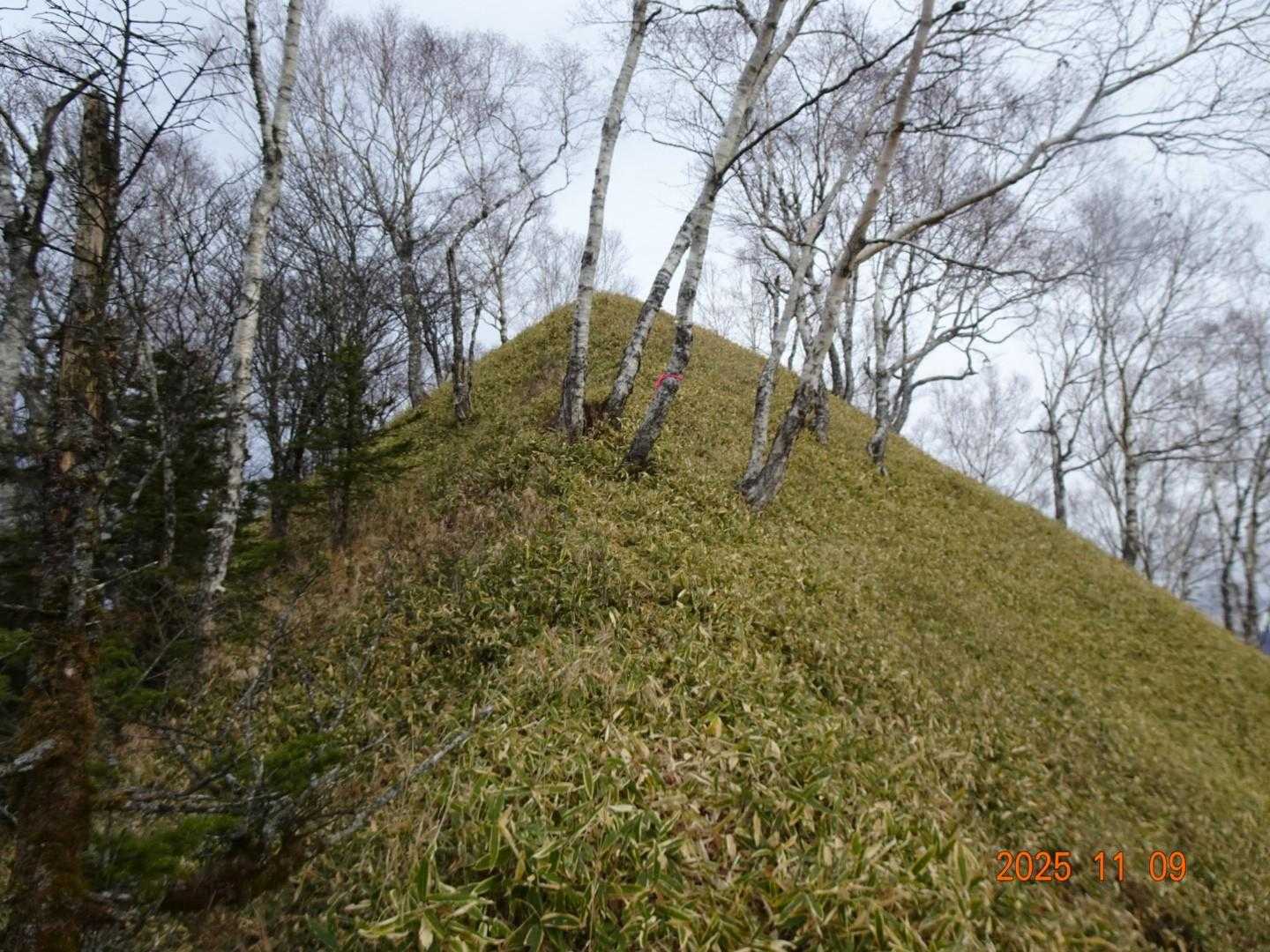 これもニセピーク。
どう見たって山頂にしか見えない。