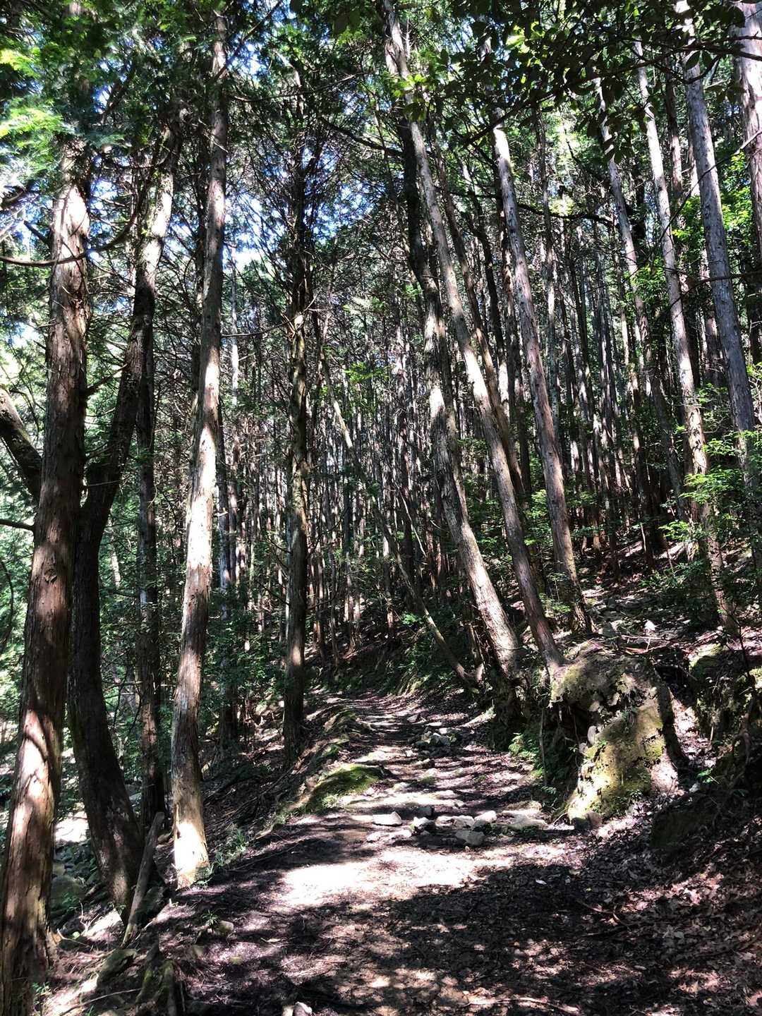 六角坂登山口 往復コースの写真