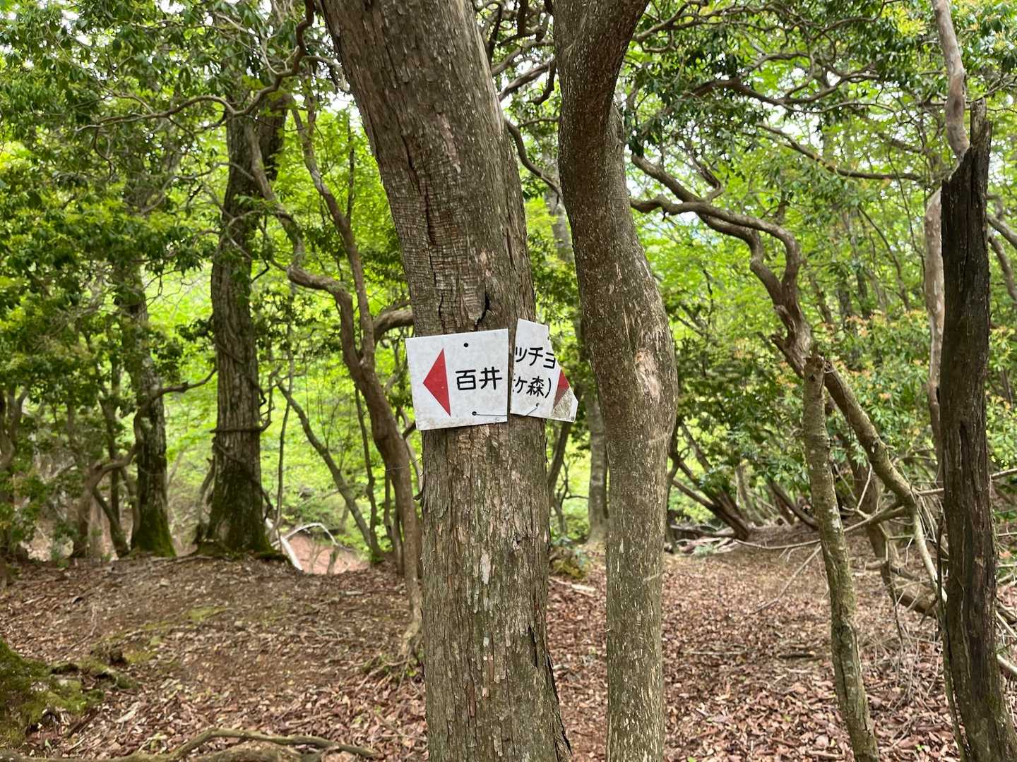 左へ行くと、先程車で行った🚙百井に出るのね🫨