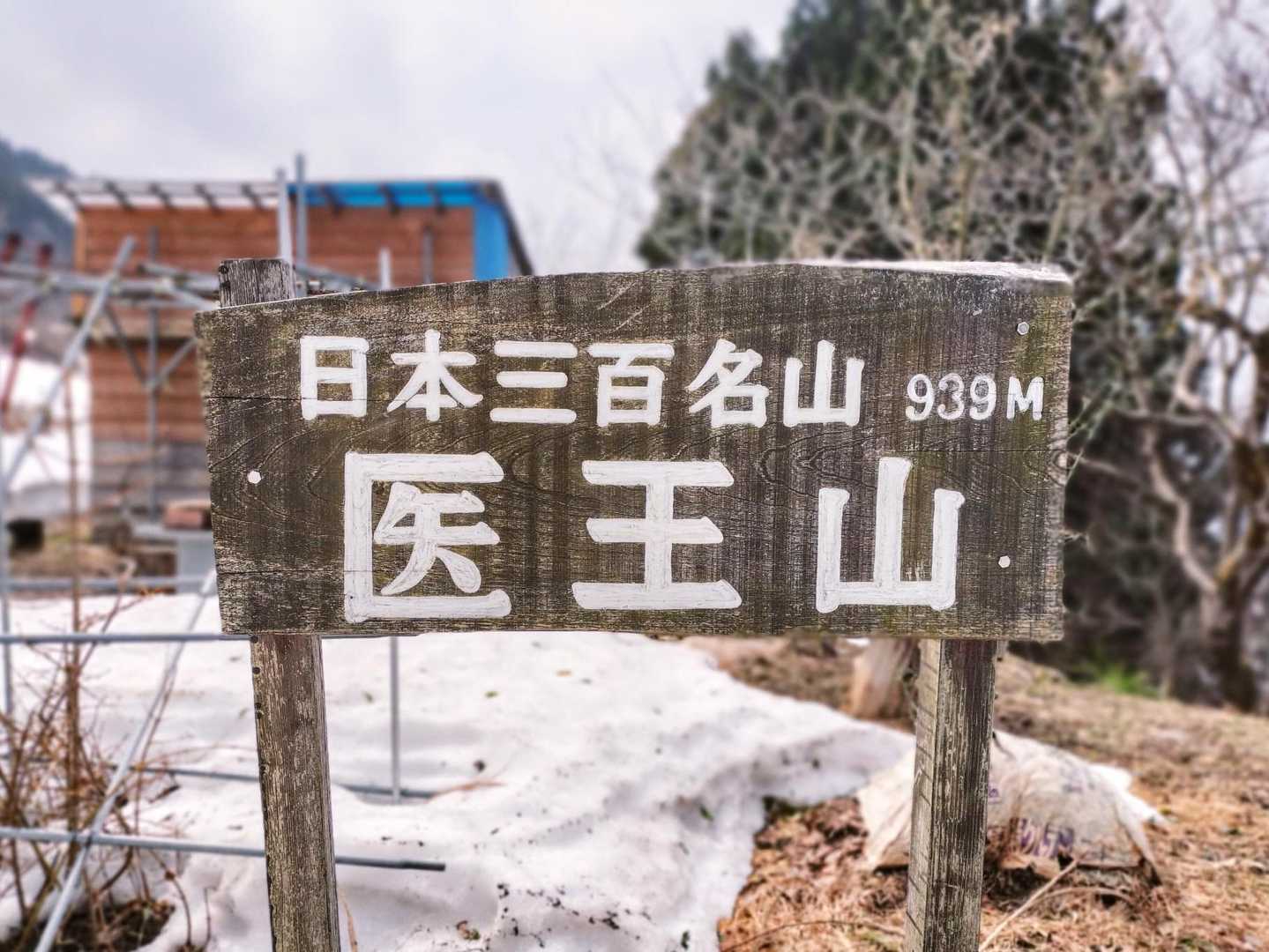 『新・花の百名山』にも選定
サンカヨウも数多く咲くようですよ