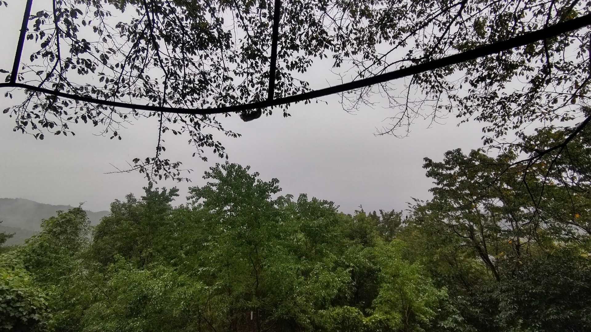 ☔のため、眺望なし。