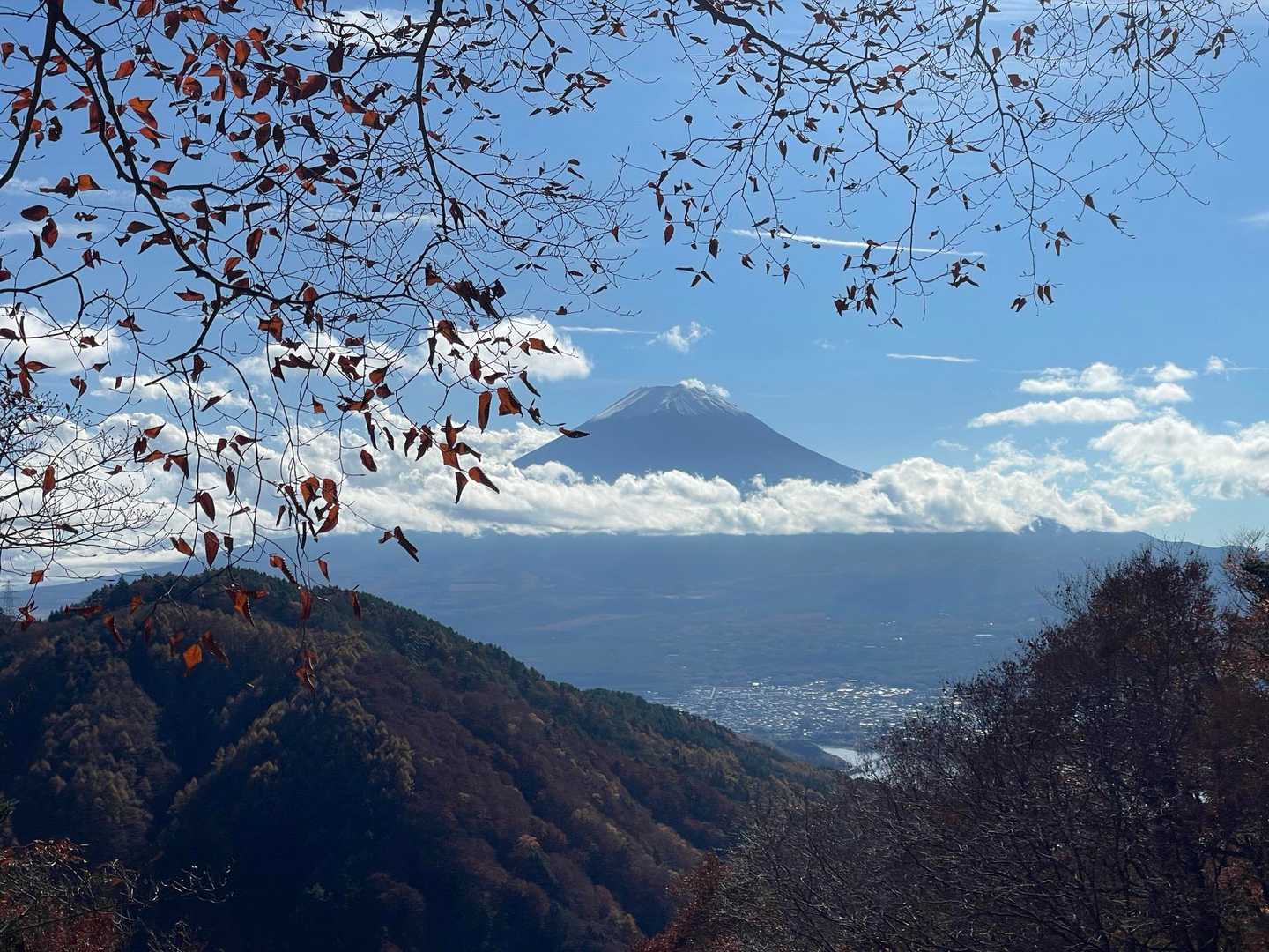 絶景〜(*Ü*)ﻌﻌﻌ♥