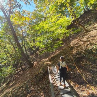 名残惜しいけど下山です。

心地よいハイキングでした☺️