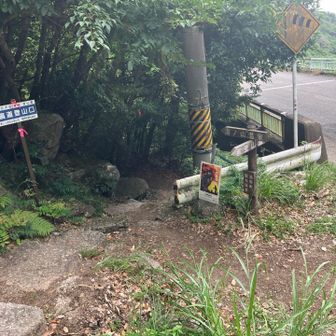 舗装路が見えた！
あとは舗装路歩きと考えましたが、またまた左にそれていく道があるではないか。。。