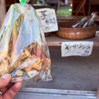 谷中ショウガ買ってみた🫚