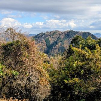 葛城山（標高452m）