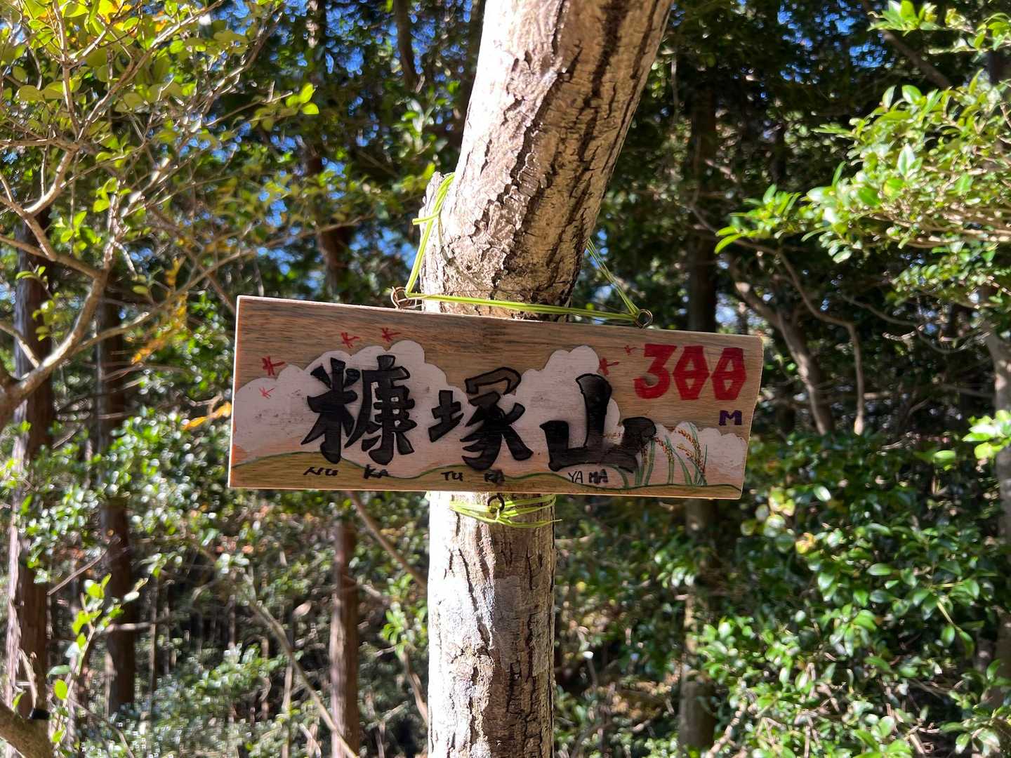 片縄山-糠塚山 往復コースの写真