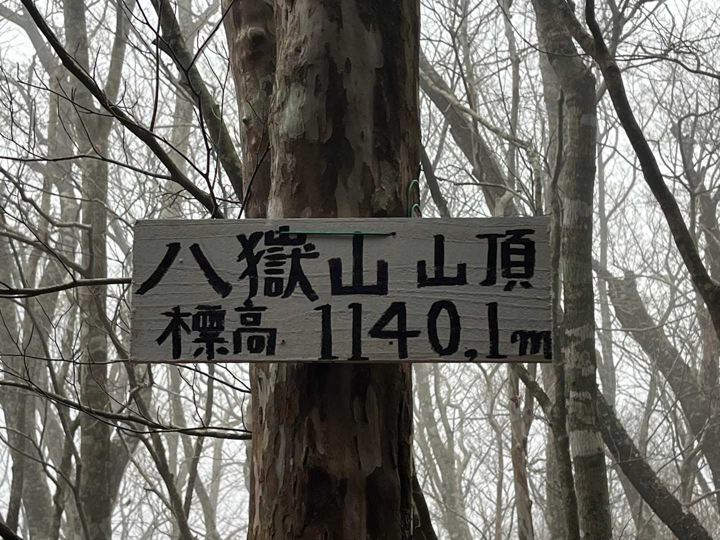 八嶽山登山口-八嶽山 往復コースの写真