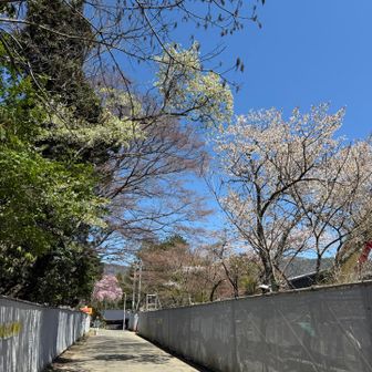 途中、大きな建築現場通ります