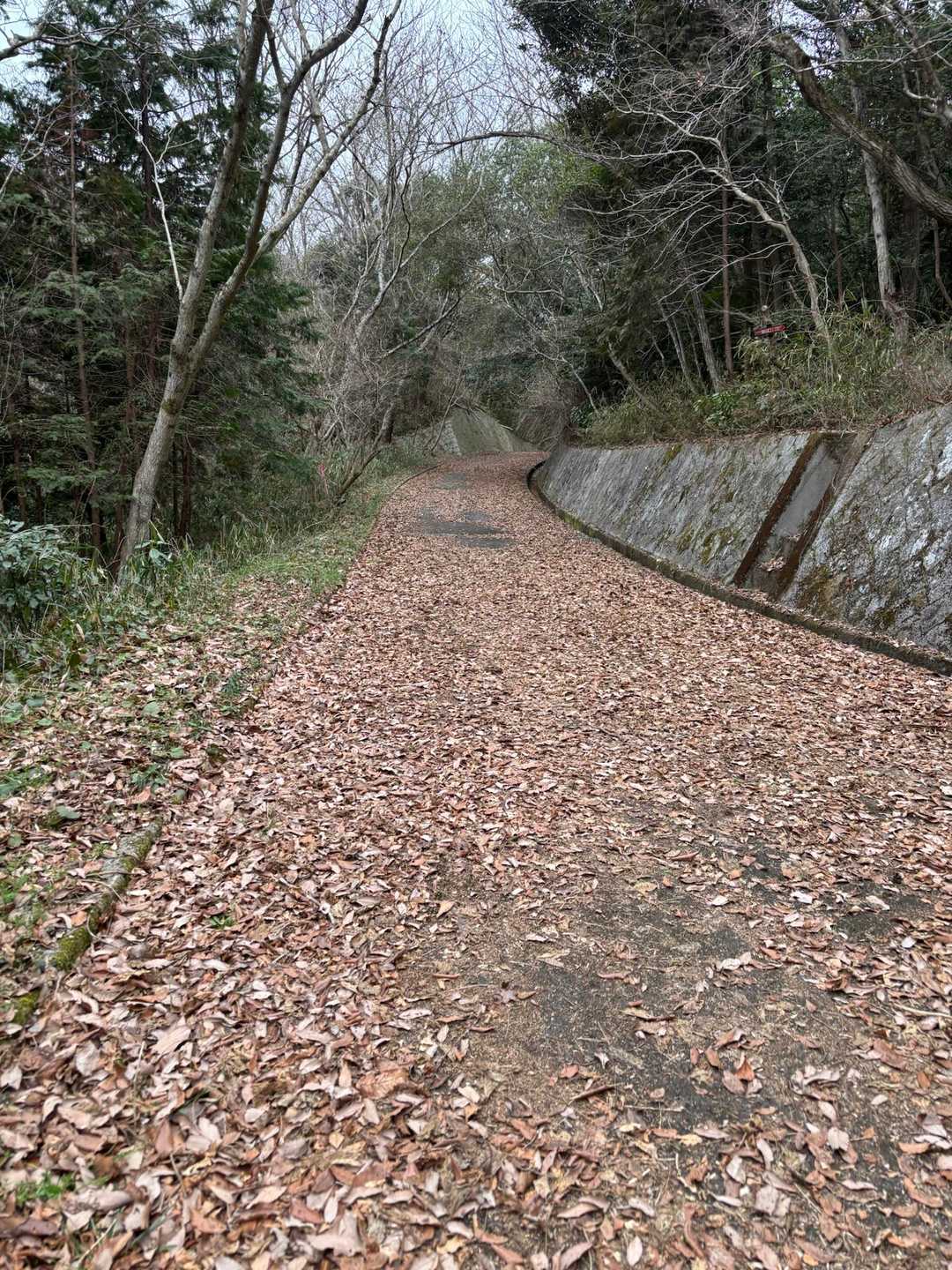 瓶割山-岩倉山 周回コースの写真