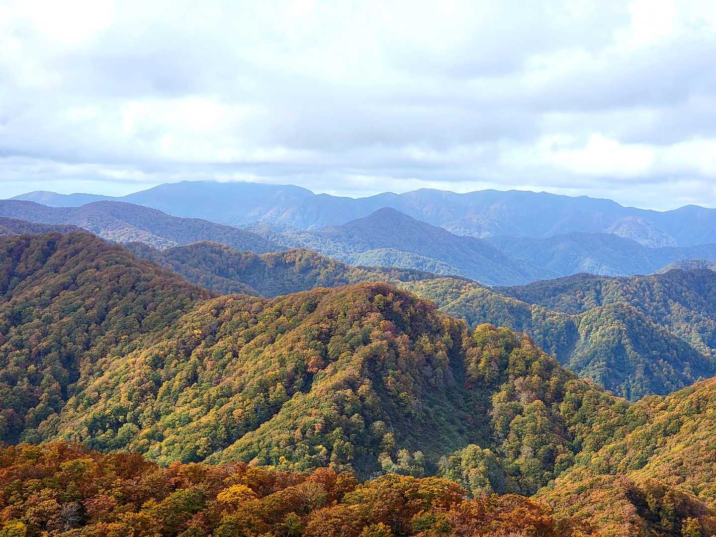 奥に見えるのは白神岳かな？