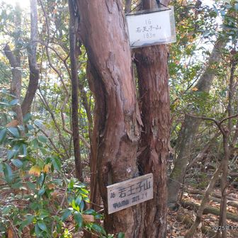 若王子山 183m。探したらあった