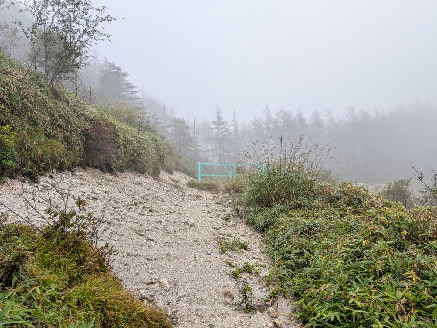 写真32の高嶺山頂への分岐点に戻りました。