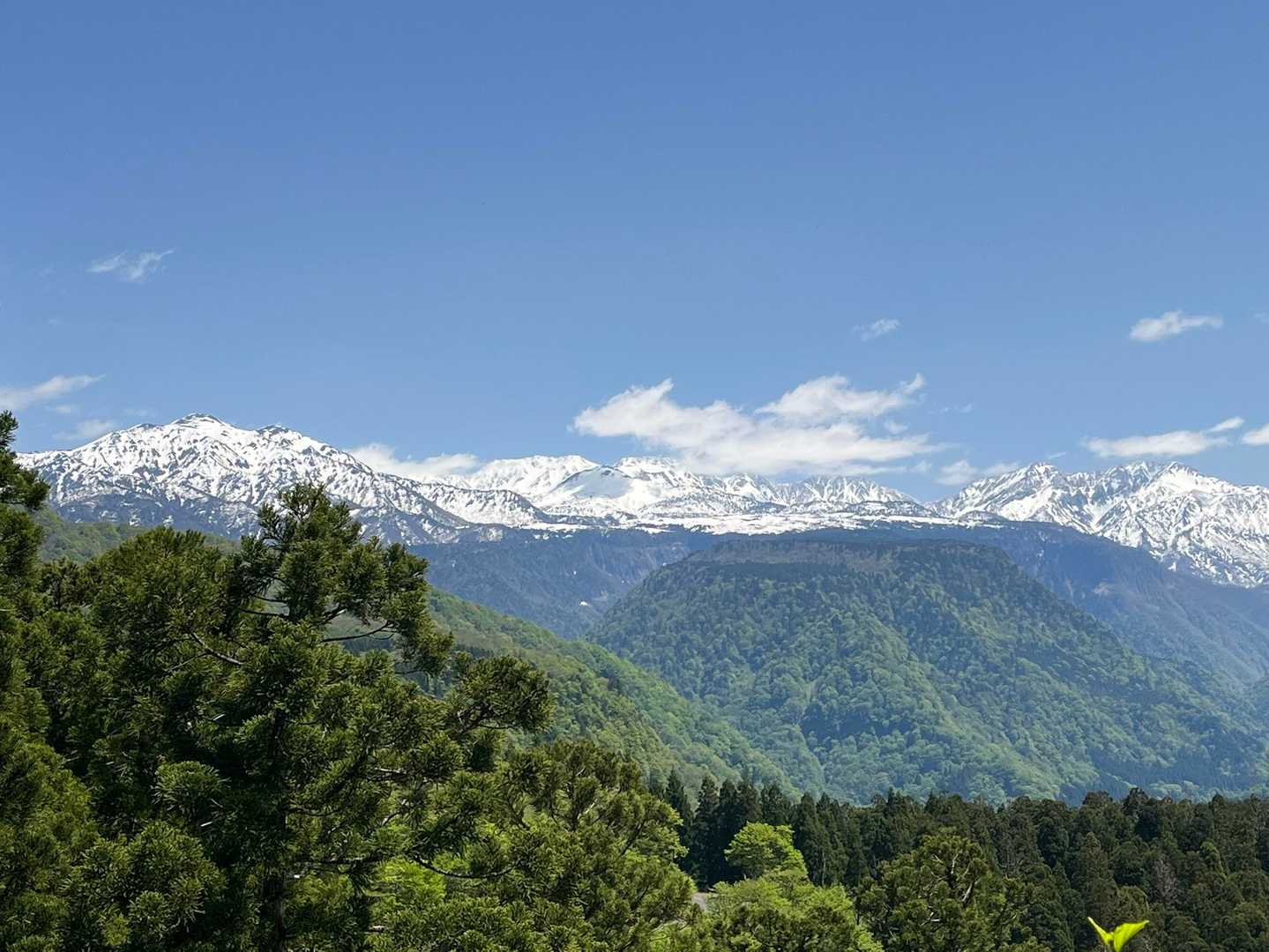 立山、今年も行きたいなぁー
