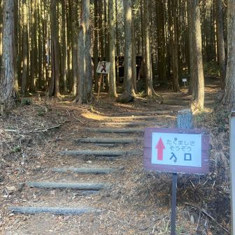 たくましさコース