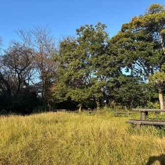 大丸山ー。
広々。