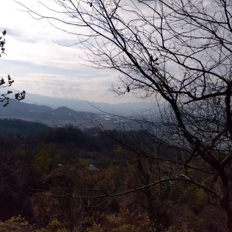 画像ではわからん